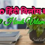 Top 100 hindi vilom